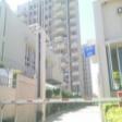 Fully Furnished 7000 Sqft Independent Villa 5 BHK For Rent In Palm Springs Sector 54 Golf Course Road 5 BHK Independent Villa Rent Golf Course Road Gurgaon